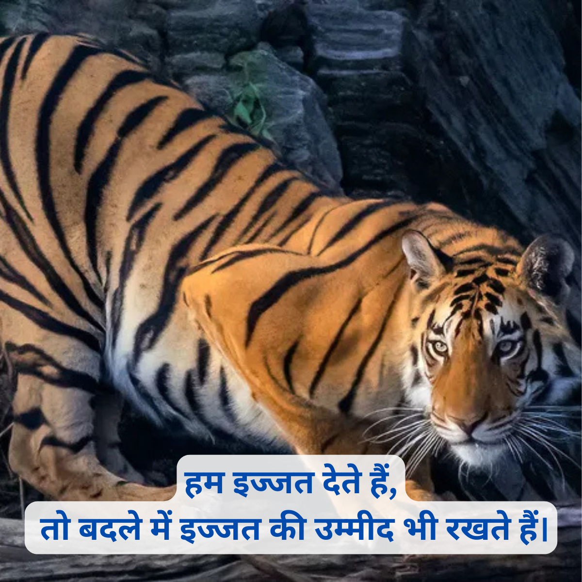 Attitude Shayari in Hindi