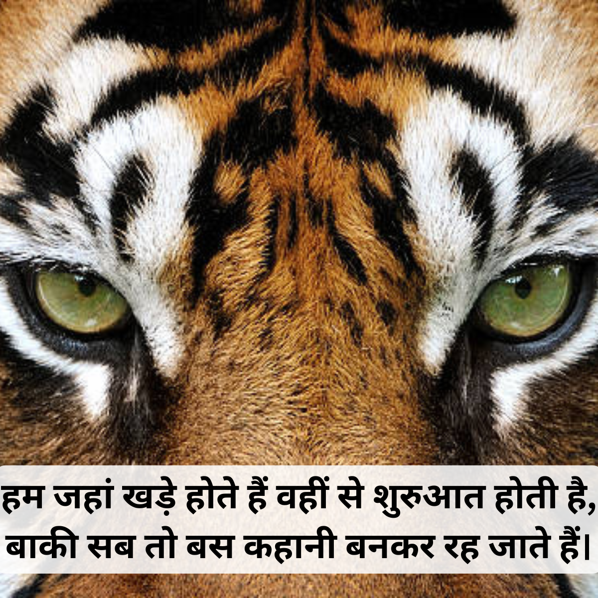 Boys Attitude Shayari in Hindi