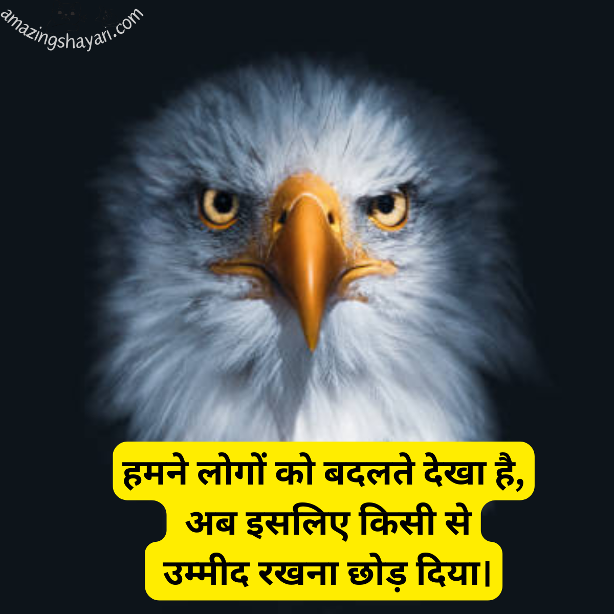 Royal Attitude Shayari