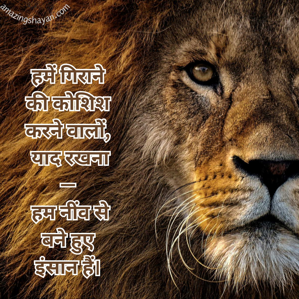 Royal Attitude Shayari
