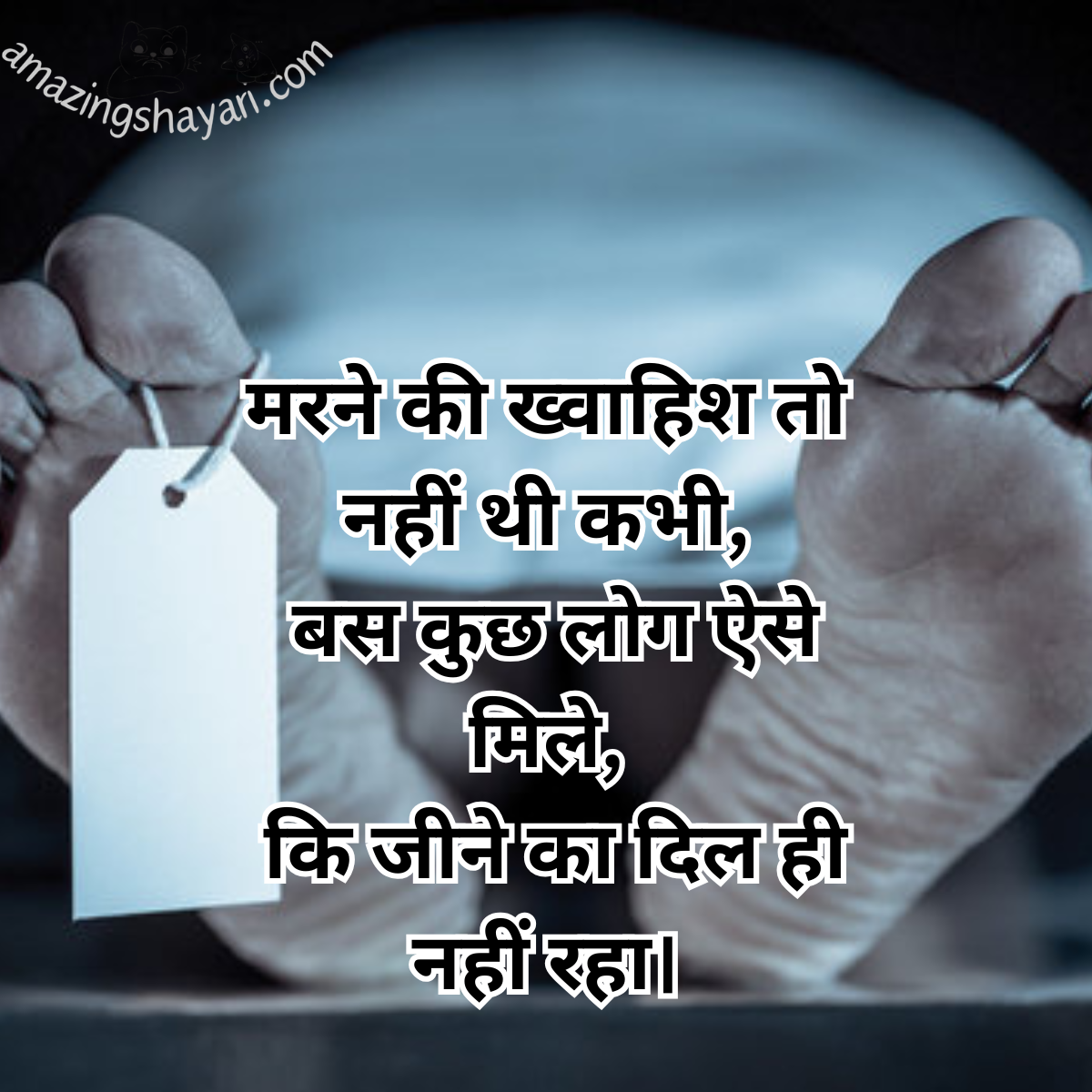 Alvida Maut Shayari in Hindi