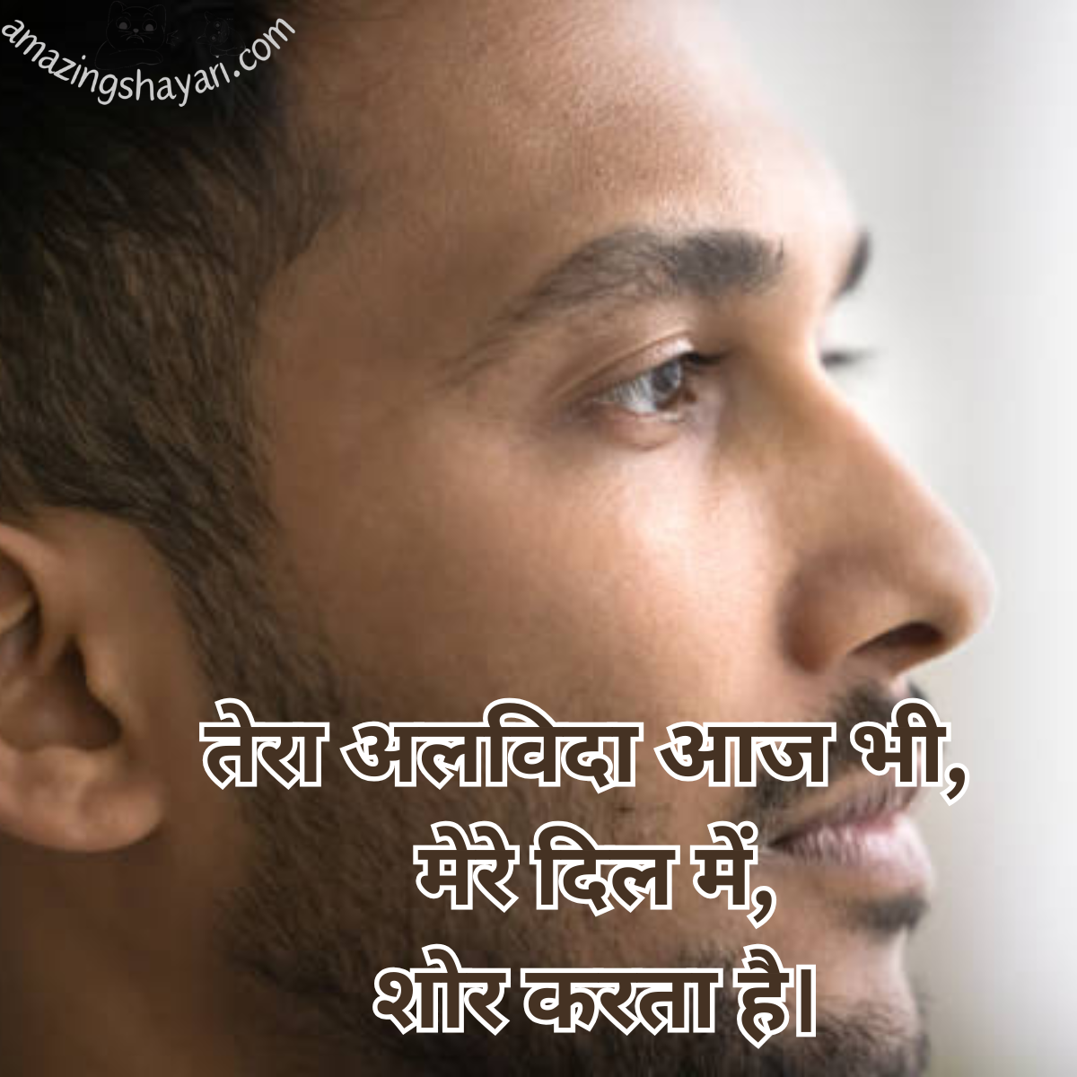 Alvida Maut Shayari in Hindi