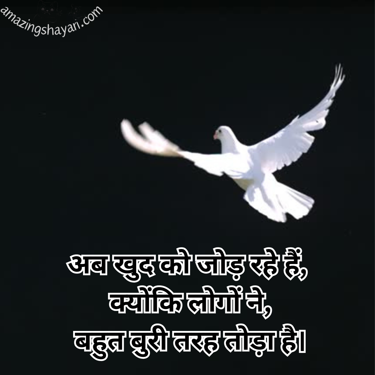 Alvida Maut Shayari in Hindi