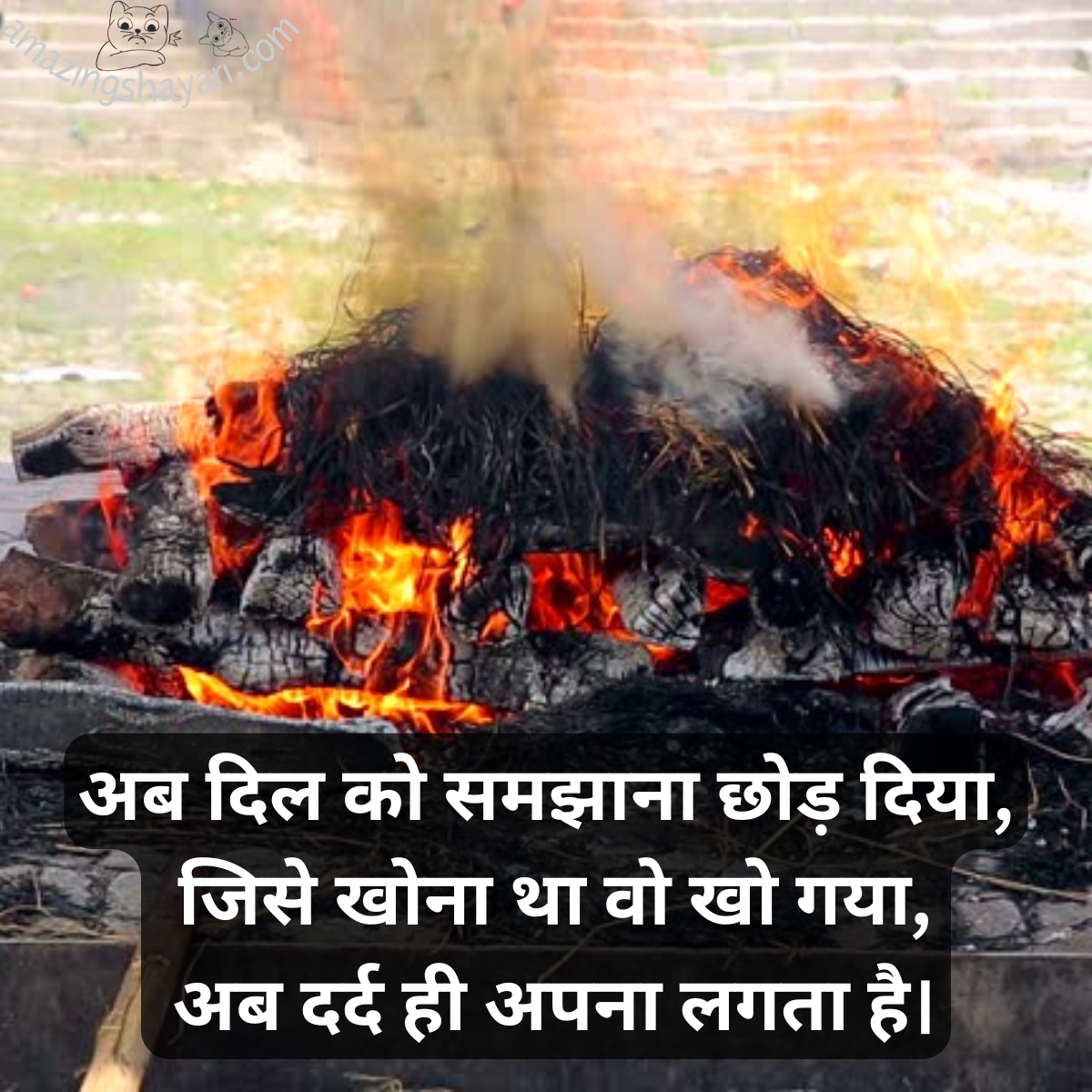 Alvida Maut Shayari in Hindi