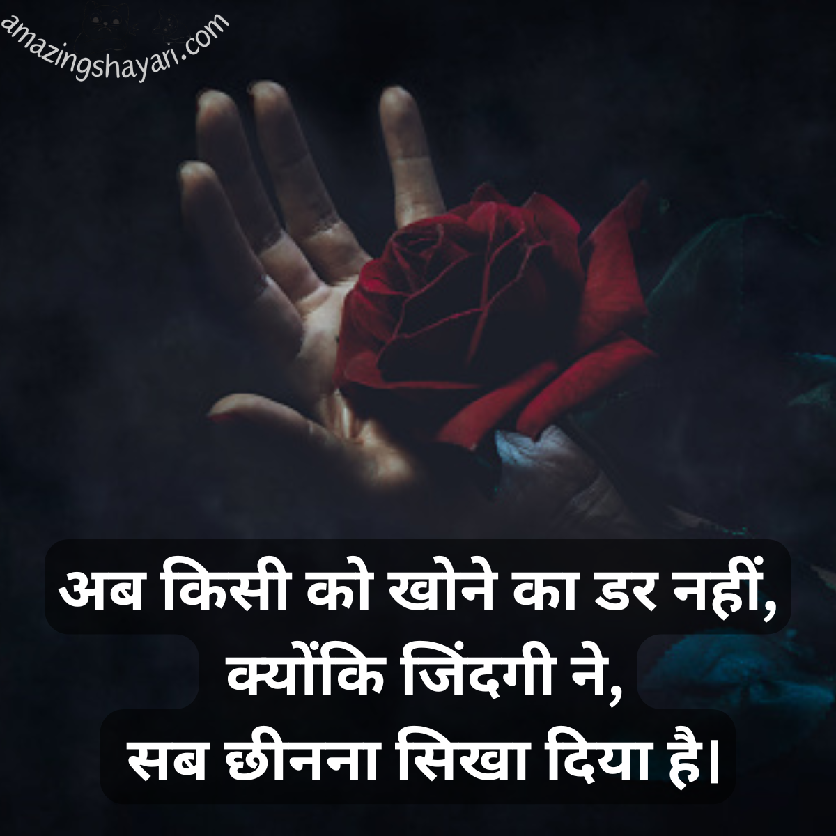 Alvida Maut Shayari in Hindi