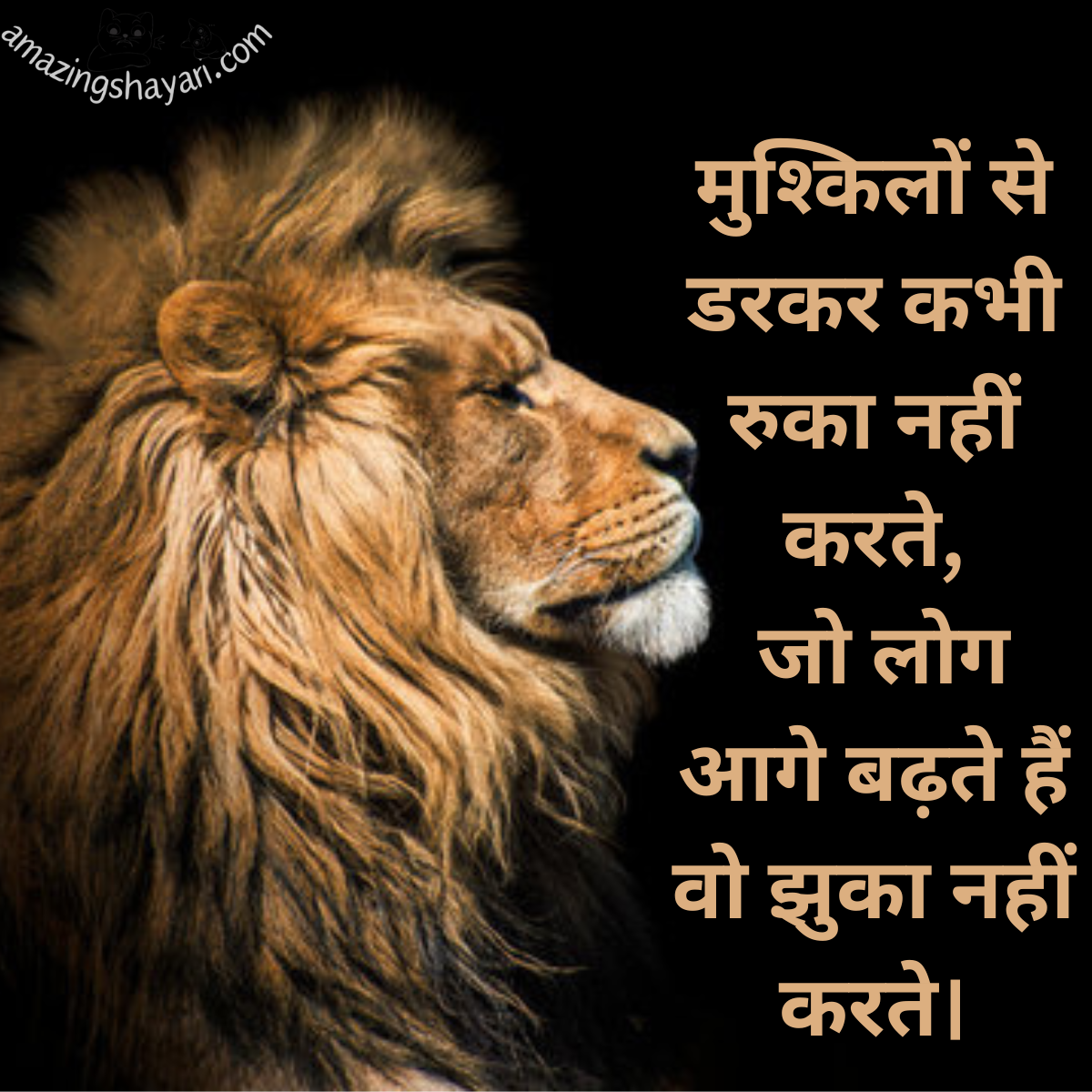 Positive Motivation Shayari